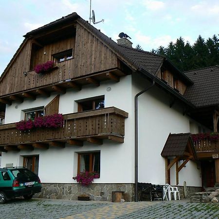 Apartmany U Vacu Železná Ruda Exterior foto